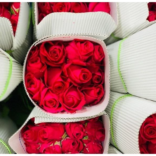Fresh Roses l 20 Stems Bouquet for Gift, Wedding, Anniversary & Special Occasion Decoration
