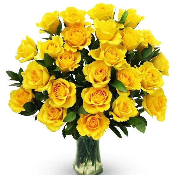 Fresh Roses l 20 Stems Bouquet for Gift, Wedding, Anniversary & Special Occasion Decoration