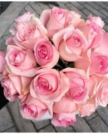 Fresh Roses l 20 Stems Bouquet for Gift, Wedding, Anniversary & Special Occasion Decoration